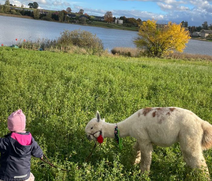 Informacje dodatkowe